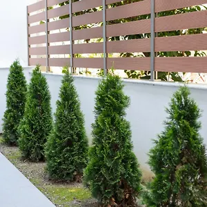 Casa Maresol Ξενοδοχείο με διαμερίσματα Νέα Σκιώνη